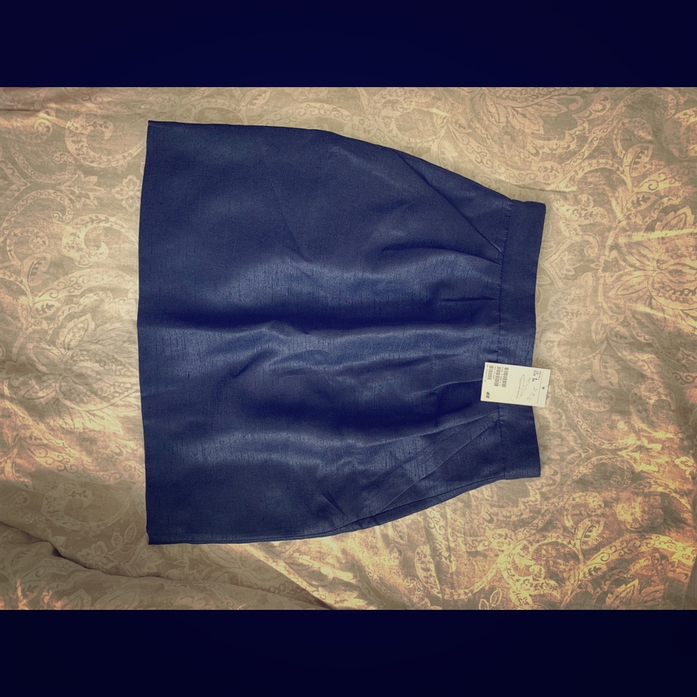 H&M Skirt